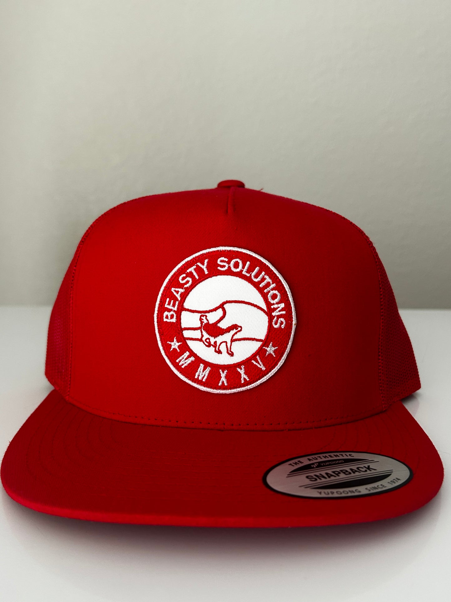 🧢 Beasty Solutions Trucker Hat – The mark of Growth